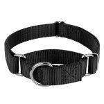 Adjustable Nylon Martingale Collar